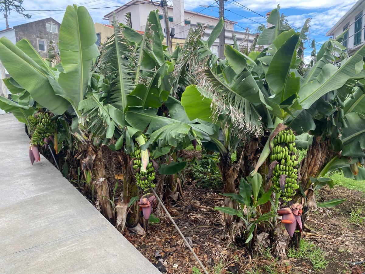 Retiro Das Bananeiras Horta (Azores) Exterior foto